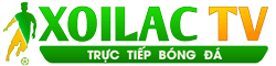 sữa bò